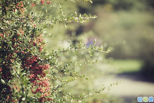 再見十月你好十一月個(gè)性說說帶圖片 11月請(qǐng)對(duì)我好一點(diǎn)心情說說2