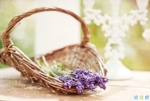 抖音人生哲理句子大全 有深意很內(nèi)涵哲理句子1