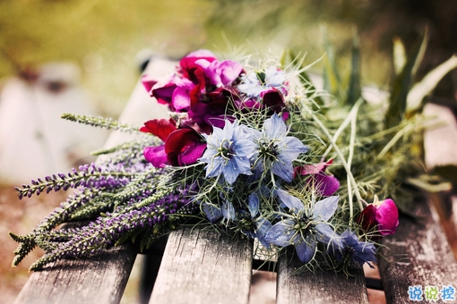 女生表白男生的話可愛簡(jiǎn)短 2019最美最動(dòng)聽的情話大全微微甜1