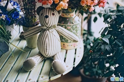 很勵志的關(guān)于成長青春和夢想的感悟人生的說說帶圖片12