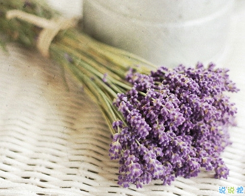 優(yōu)美說說唯美的句子配圖：海底月是天上月，只是鏡花水月10