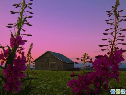 微信朋友圈可愛句子配圖 女生朋友圈俏皮可愛的愛情句子帶圖片4