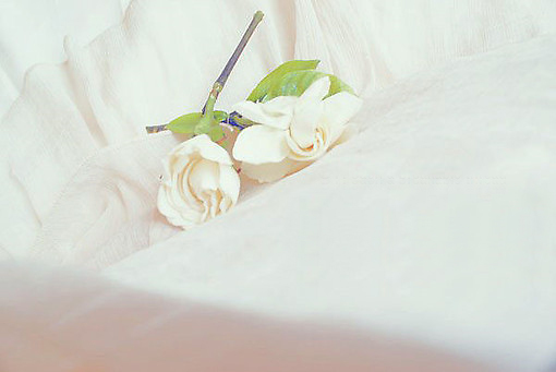 有哪些詩歌讀到后心里像開出了一朵花？6