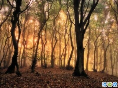 唯美時(shí)尚愛情說說帶圖片 很好看的唯美愛情說說精選10