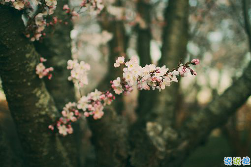 日升日落讓人感到傷感的說(shuō)說(shuō) 時(shí)間和愛(ài)情帶給我們的憂傷傷感說(shuō)說(shuō)2