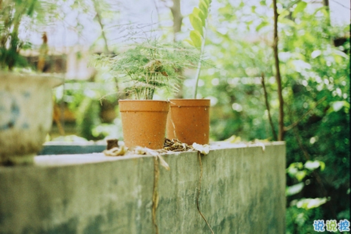 成長青春治愈系句子帶圖片 很暖心的治愈系說說簡短一句話15