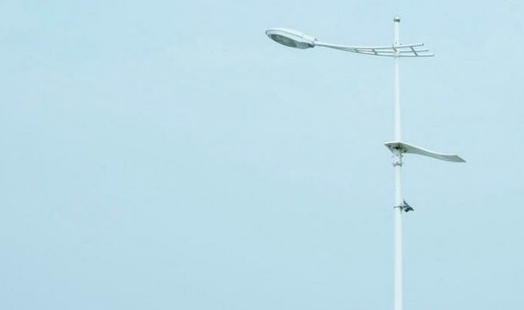 關(guān)于愛情和喜歡一個人的心事的經(jīng)典圖片說說13