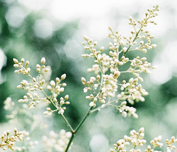 關(guān)于一個(gè)人旅行的精辟哲理說說帶圖片 每一次旅行其實(shí)都是一場修行2