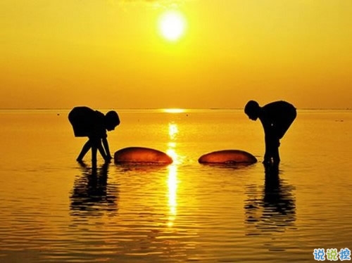 最新秀恩愛的幸福心情說(shuō)說(shuō) 雙11狂虐單身人士的說(shuō)說(shuō)大全1