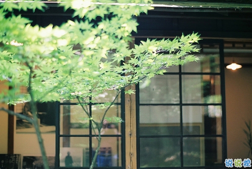 很特別的微信說說帶圖片獨一無二 15條值得收藏的經(jīng)典句子13