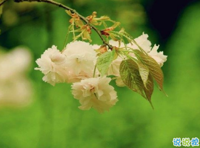 很現(xiàn)實的人生感悟經(jīng)典句子 人生感悟句句精辟帶圖片7