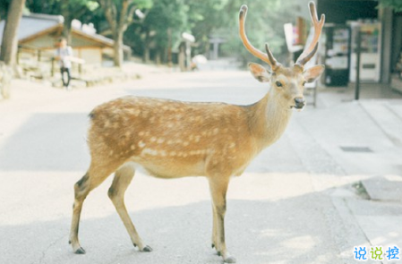 表示無聊的朋友圈說說帶圖片：無聊，是人生的一種正?，F(xiàn)象1