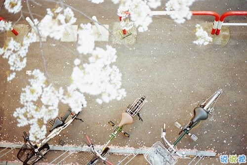 我們都琢磨不透的愛(ài)情說(shuō)說(shuō)帶圖片 忘記一個(gè)人的傷感說(shuō)說(shuō)心情9