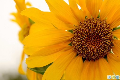 2019經(jīng)典語(yǔ)錄人生感悟 靠天靠地還要靠自己2