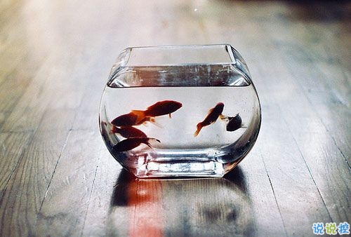 成長之路上遇到的一些經(jīng)典哲理說說配圖 很有道理的精辟說說發(fā)朋友圈14