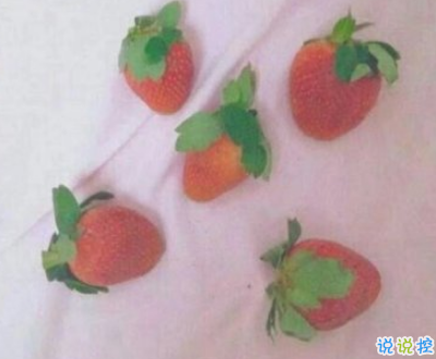 2019火爆的搞笑說說大全逗比專屬 笑得直不起腰的一些句子10