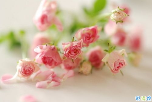 致拼搏路上的自己說說超勵志帶圖片 感慨人生的經典說說配圖10