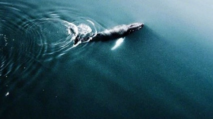 忽而夏至的悲傷日記的傷感說說配圖 你最美的青春都在陪他吃苦3