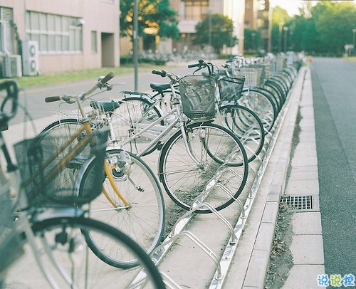 大學生必看的搞笑暖心情話 不同系別的學霸怎么表白8