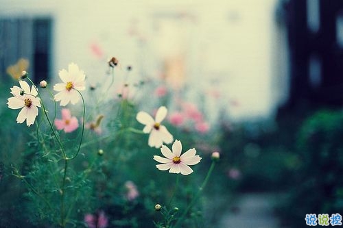 適合中小學(xué)生發(fā)的傷感說說 00后專屬傷感說說大全1