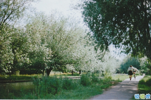 簡(jiǎn)單唯美的一句話圖片說說有道理的那種 生活需要一點(diǎn)詩(shī)意2