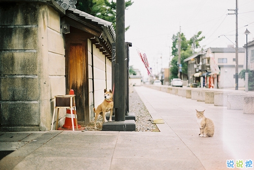 愛讓人疲憊不堪的說說心好累 離開一個(gè)人不舍的傷感說說2