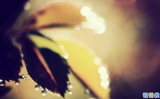 輸?shù)靡凰康膼矍閭姓f說 句句寫入心坎的傷感說說大全2