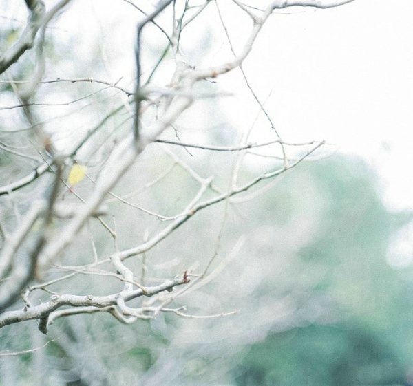 關(guān)于一個(gè)人旅行的精辟哲理說說帶圖片 每一次旅行其實(shí)都是一場修行8