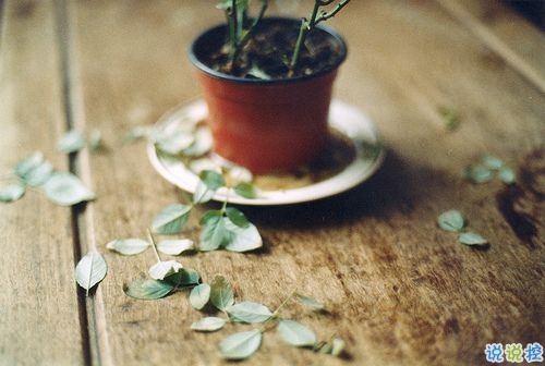 特別有意思的個(gè)性說(shuō)說(shuō)帶圖片 有趣讓人驚喜的一些情感句子10