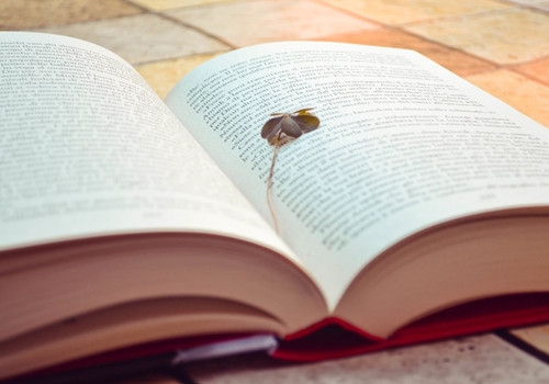 痛徹心扉的傷感愛情說說帶圖片 我在每個(gè)下雨天想起你5