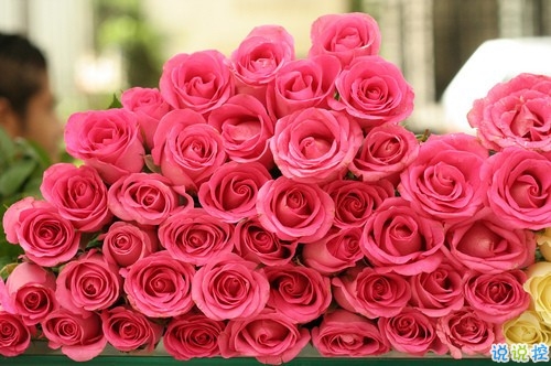 抖音最火經典說說致自己 最新個人說說經典勵志帶圖片14