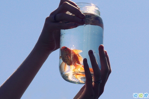 值得收藏的人生大道理勵(lì)志說說帶圖片 好聽的激勵(lì)人心的說說配圖1