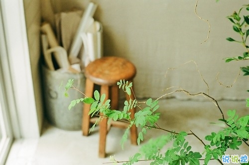 14條經(jīng)典唯美說說配圖 文藝小清新喜歡的唯美說說20184