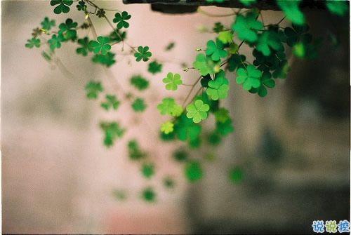 經(jīng)典正能量朋友圈說說帶圖片 2018別人必評的經(jīng)典說說配圖4