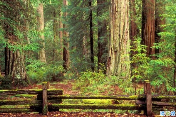 心里甜蜜蜜的愛情說(shuō)說(shuō)帶圖片 愛情說(shuō)說(shuō)一輩子只愛你9