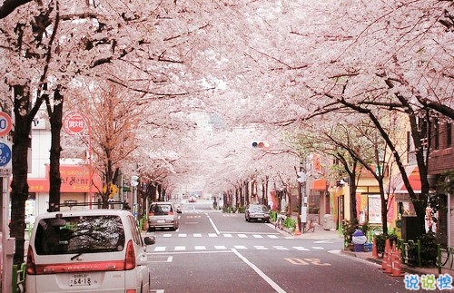 2019最新三月經(jīng)典勵(lì)志句子致自己 2019三月加油微信說(shuō)說(shuō)大全1