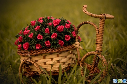 獨(dú)一無二朋友圈個(gè)性說說帶圖片 感謝相識不計(jì)消失回頭是狗3