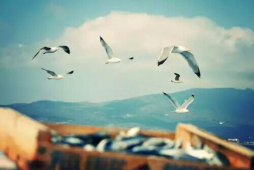 讓人難過(guò)傷感愛情說(shuō)說(shuō)帶圖片 差一點(diǎn)就抱住他了我再睡一會(huì)兒試試5