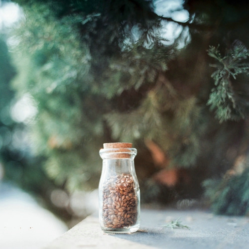 甜蜜浪漫文藝小清新喜歡的愛情圖片說說 決定做你的“小太陽”溫暖你保護你6