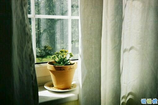 突然不喜歡一個人/放棄一個人是一種什么樣的感受？11