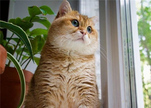 可以戳中中你笑點(diǎn)的搞笑說(shuō)說(shuō)帶圖片3