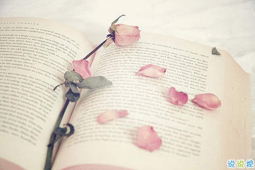 微信朋友圈感動(dòng)說(shuō)說(shuō)心情短語(yǔ) 哪來(lái)的狗屁好脾氣全是因?yàn)槲蚁矚g你1