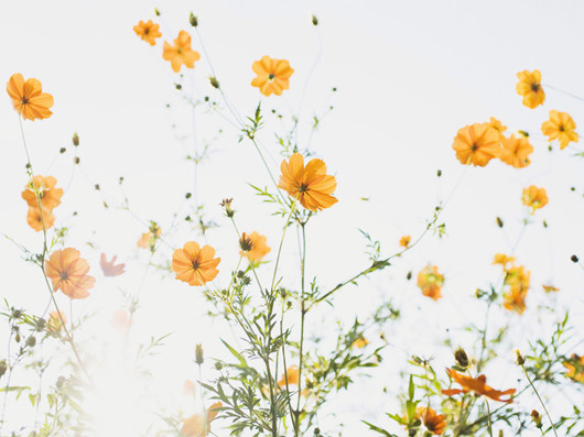 生活說說很現(xiàn)實的說說2018心情短語 穿透人心的說說簡短一句話2