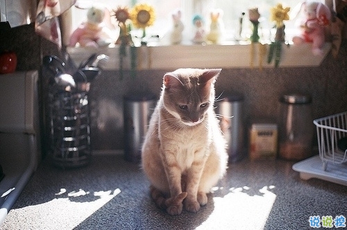 男女都適合的成熟愛情說說帶圖片 你必須學(xué)會和懂得的愛情真理3