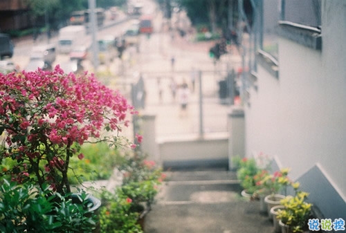 表達(dá)愛意的唯美句子配圖 肯定能打動你心的唯美說說帶圖片13