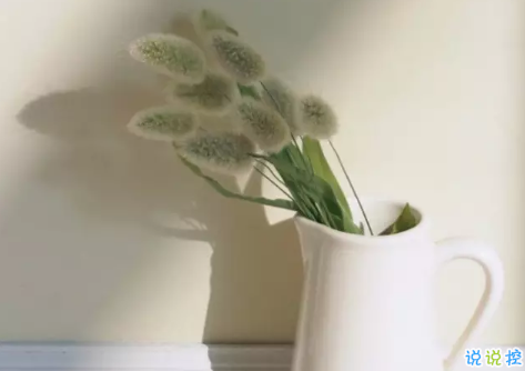 ?告別八月迎接九月的正能量早安說(shuō)說(shuō) 朋友圈九月早安心語(yǔ)說(shuō)說(shuō)20183