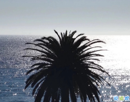 簡短的帶唯美的說活帶圖片 簡單一句話說說表達(dá)心中的情感13