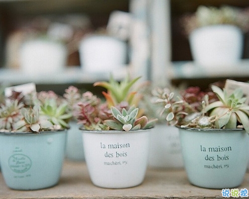 唯美詩意的說說帶圖片 我飲盡漁火明月秋色無邊3