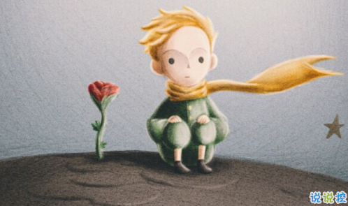 經典小王子中的有哲理而又簡單的句子 如果你被一朵花馴養(yǎng)13