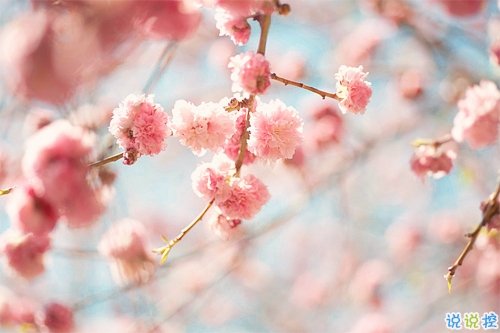 2019年抖音個性說說大全 非常有意思的個性說說帶圖片6